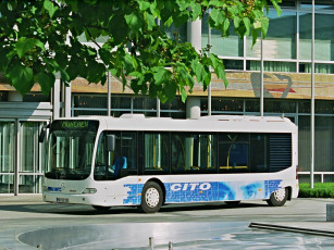 Картинка автомобили автобусы