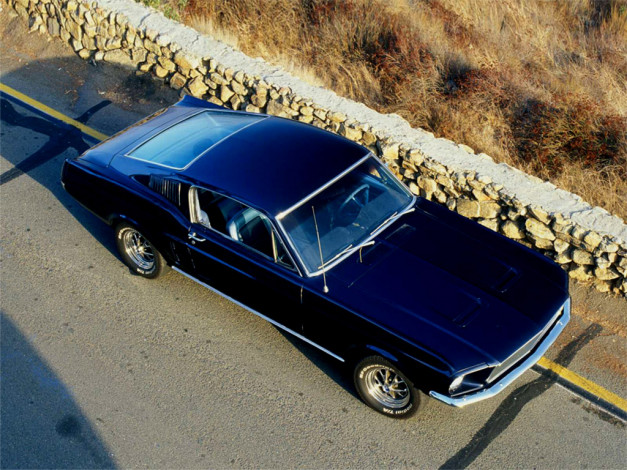 Обои картинки фото автомобили, ford