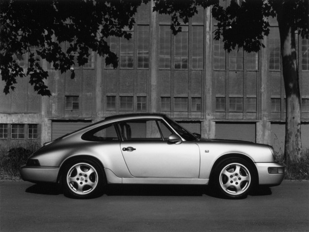 Обои картинки фото автомобили, porsche