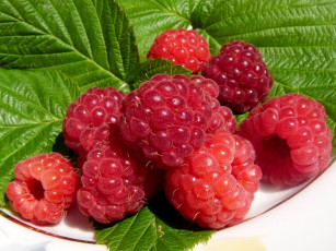 Картинка еда малина