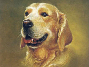 Картинка рисованные животные