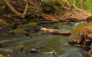 Картинка природа реки озера