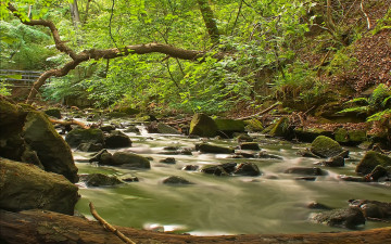 Картинка природа реки озера