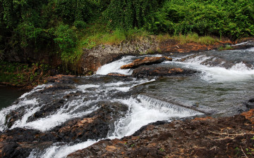 Картинка природа реки озера