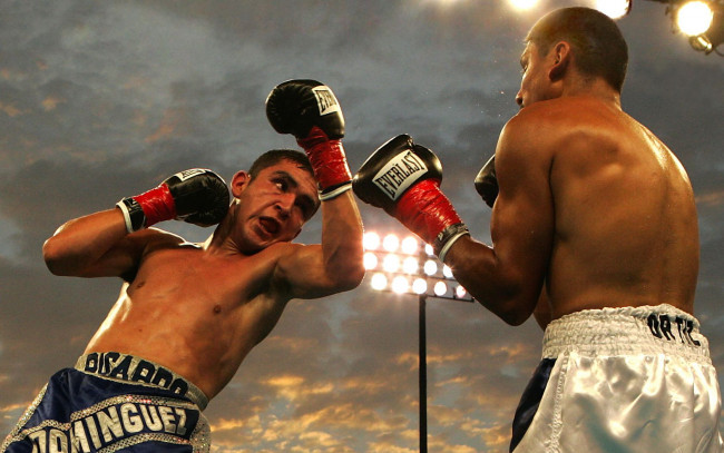 Обои картинки фото спорт, бокс