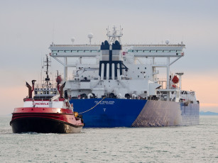 Картинка корабли разные вместе