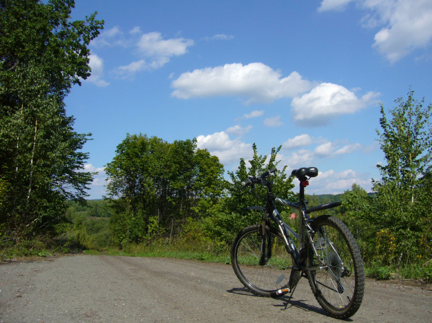 Обои картинки фото stels, byke, спорт, велоспорт