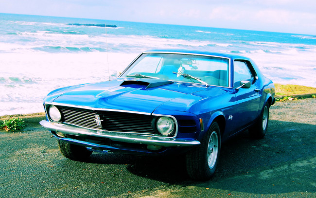 Обои картинки фото автомобили, mustang