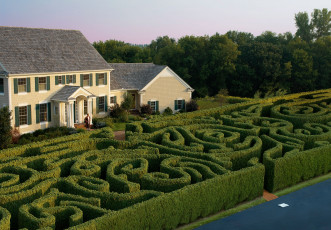 Картинка юмор приколы лабиринт газета кусты