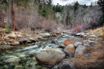 Картинка природа реки озера течение камни деревья