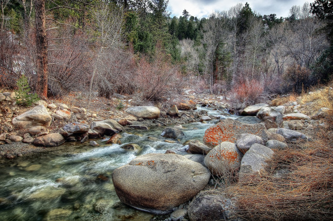 Обои картинки фото природа, реки, озера, течение, камни, деревья