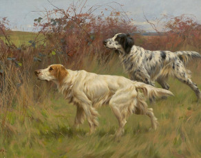 Картинка рисованные thomas blinks собаки английский пойнтер