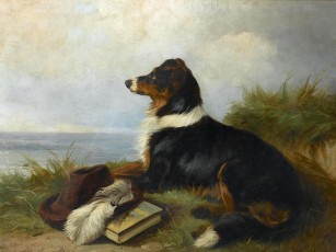 Картинка рисованные colin graeme roe ожидание собаки