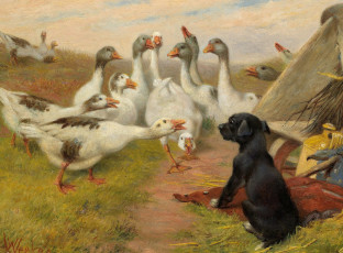 Картинка рисованные william weekes маленький сторож