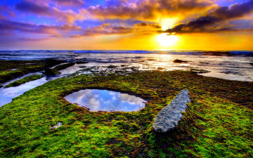Картинка beautiful sunset природа восходы закаты рассвет море пляж трава лужа
