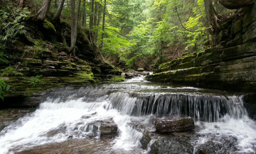 Картинка природа реки озера лес река камни пороги