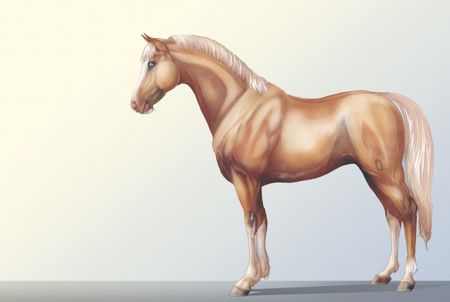 Обои картинки фото рисованные, животные, лошади, лошадь