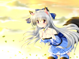 Картинка аниме -animals+&+creatures девушка взгляд волосы хвост ушки