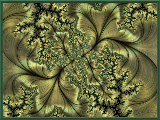 Обои картинки фото 3д графика, фракталы , fractal, фон, цвета, узор