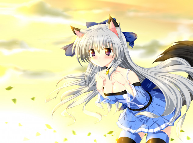 Обои картинки фото аниме, -animals & creatures, девушка, взгляд, волосы, хвост, ушки