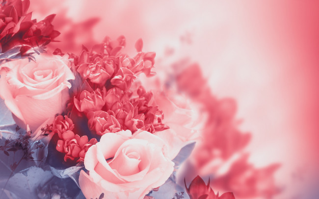 Обои картинки фото цветы, разные вместе, flowers, цветение, листья, лепестки, розы, бутоны, розовая, blossoms, leaves, roses, pink, buds, petals