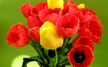 Картинка цветы букеты +композиции лепестки тюльпаны букет листья
