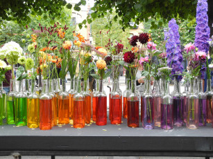 Картинка цветы разные+вместе разные