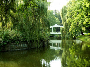 Картинка природа парк ивы водоем мостик