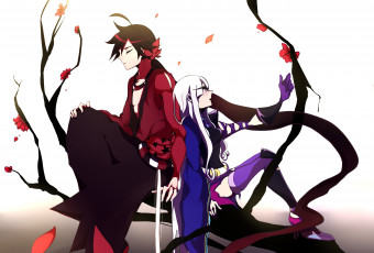 Картинка аниме katanagatari