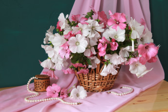 Картинка цветы лаватера букет корзина ожерелье