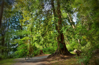 Картинка природа дороги тракт