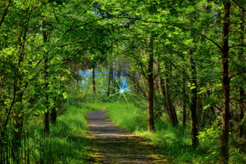 Картинка природа дороги тракт