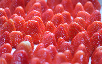 Картинка еда клубника +земляника ягоды много