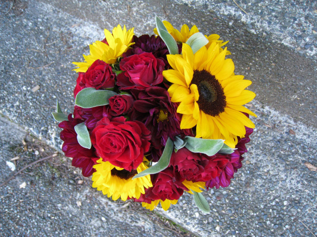 Обои картинки фото цветы, букеты,  композиции, георгины, подсолнухи, розы