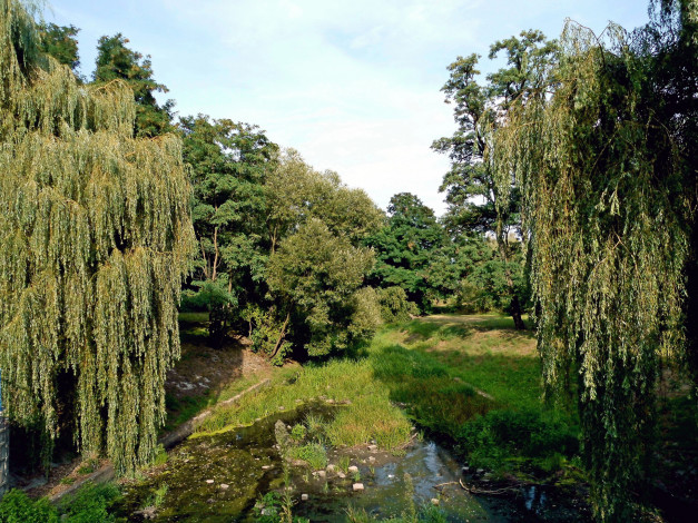 Обои картинки фото природа, парк, деревья