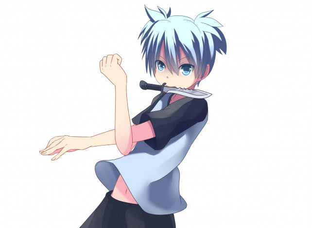 Обои картинки фото аниме, ansatsu kyoushitsu, нагиса