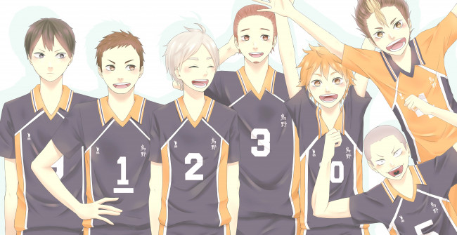 Обои картинки фото аниме, haikyuu, karasuno, high