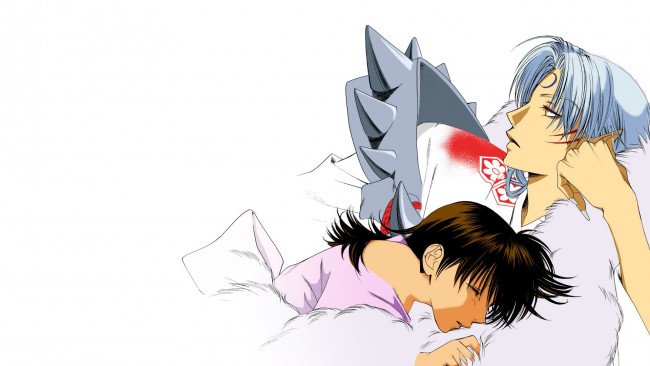 Обои картинки фото аниме, inuyasha, рин, сешоумару