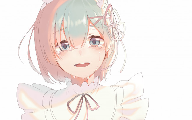 Обои картинки фото аниме, re,  zero kara hajimeru isekai seikatsu, рем