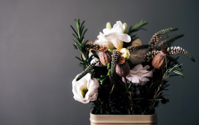 Обои картинки фото цветы, букеты,  композиции, мак, эустома