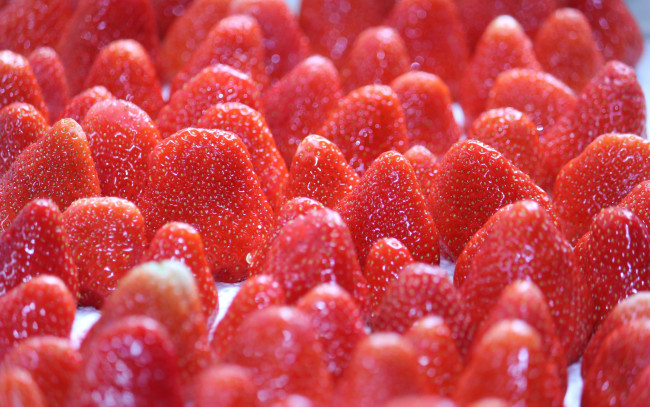 Обои картинки фото еда, клубника,  земляника, ягоды, много