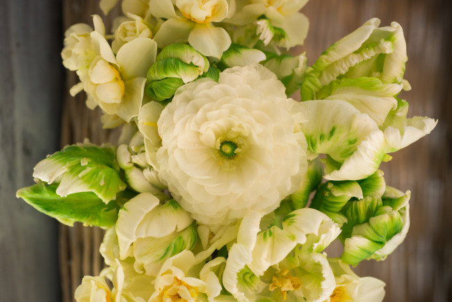 Обои картинки фото цветы, разные вместе, макро, ранункулюс, тюльпаны, букет