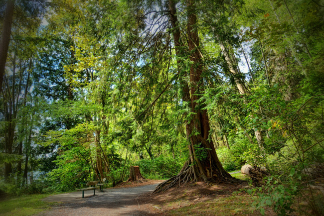 Обои картинки фото природа, дороги, тракт