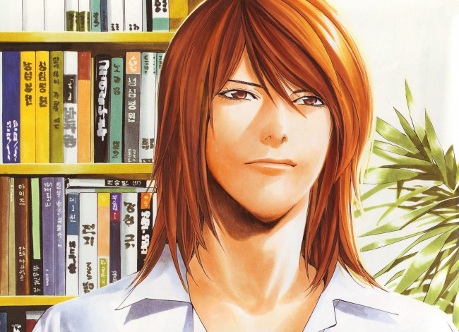 Обои картинки фото аниме, hikaru no go, ko, yeong