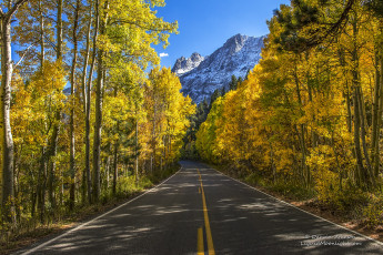 Картинка природа дороги простор