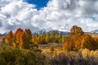 Картинка природа пейзажи простор