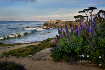 Картинка природа побережье простор