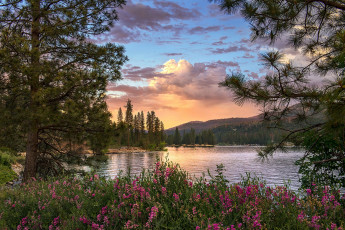 Картинка природа реки озера простор