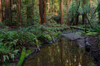 Картинка природа реки озера простор