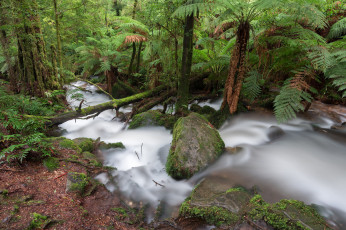 Картинка природа реки озера поток